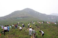 東芝(中國)2007年度公益植樹(shù)助學(xué)活動(dòng)