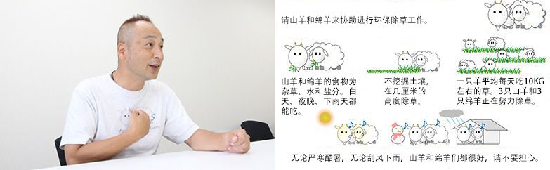 為了加深大家對“山羊和綿羊除草”的理解，制作Ｔ恤衫和看板。